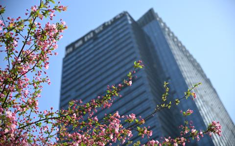 在服務(wù)區(qū)域，感受“花的海洋”